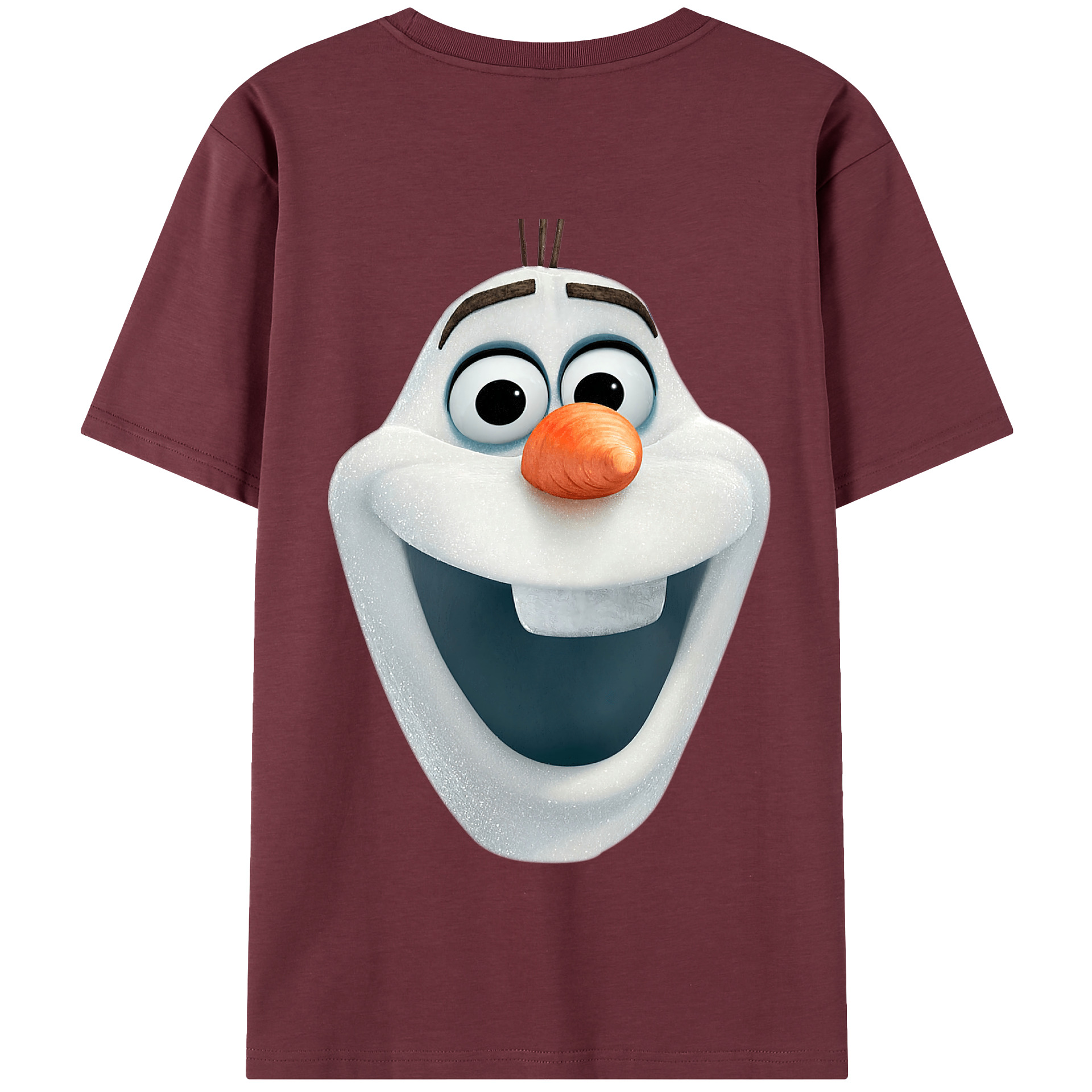 （画像用） アナと雪の女王 アンナ エルサ Frozen Anna Elsa 綿100％半袖Tシャツ（背面プリント）